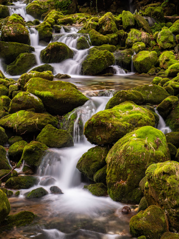 Cascades