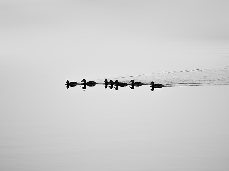 Reflections